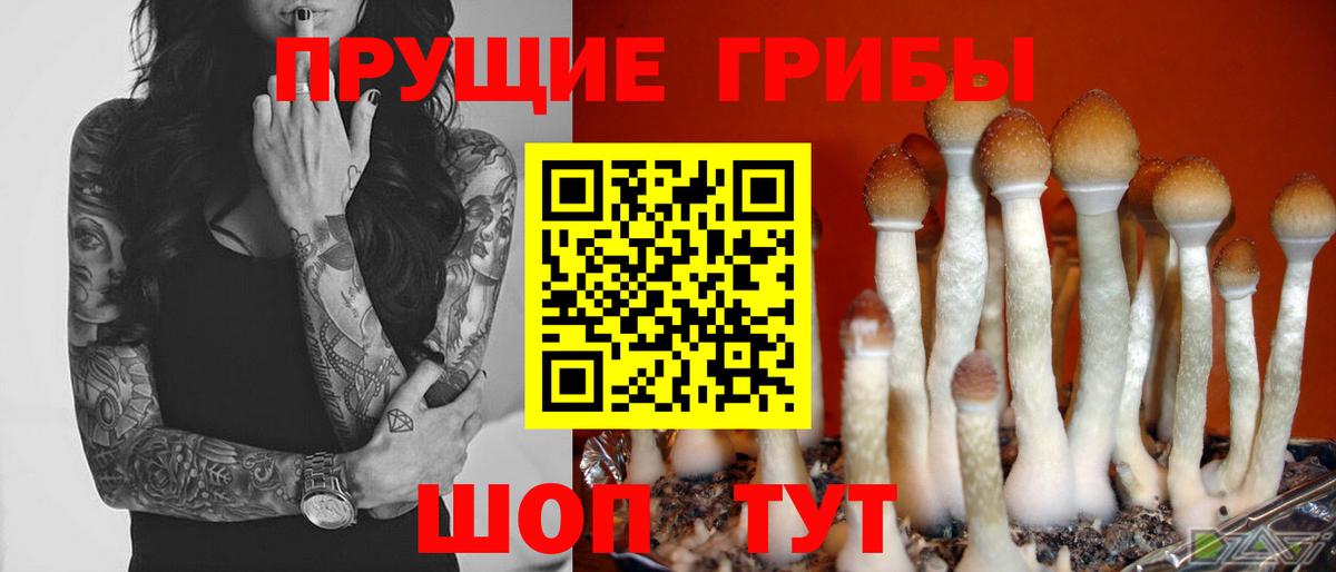 Галлюциногенные грибы ЛСД  Вход с VPN  сколько стоит  Новочеркасск 