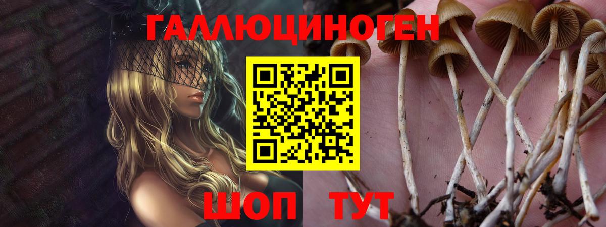 Псилоцибиновые грибы мухоморы Новочеркасск
